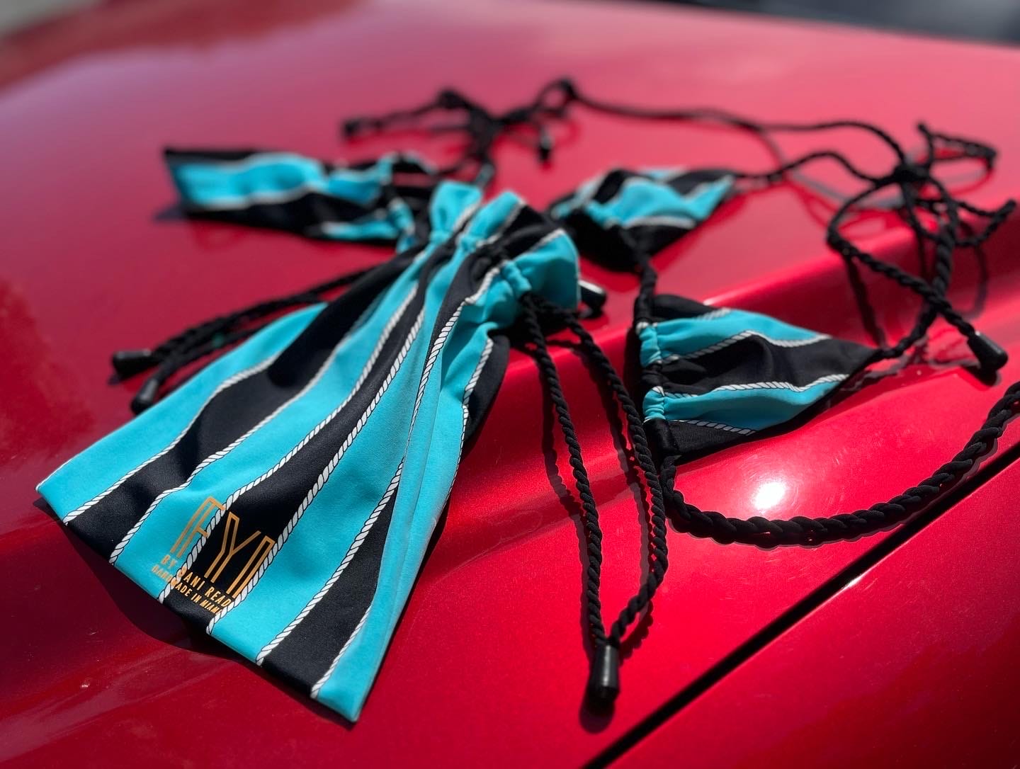 Turquoise and black striped dog leashes on a red surface